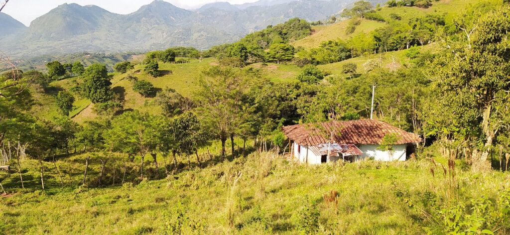 ICF PCC申請に必要な書類作成のポイントは？