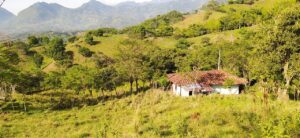 ICF PCC申請のための書類作成で注意すべきポイントは？