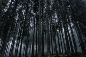 ICFコーチが実践するログの書き方とは？