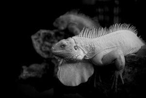 コーチングスクールに通うメリットと選び方は？