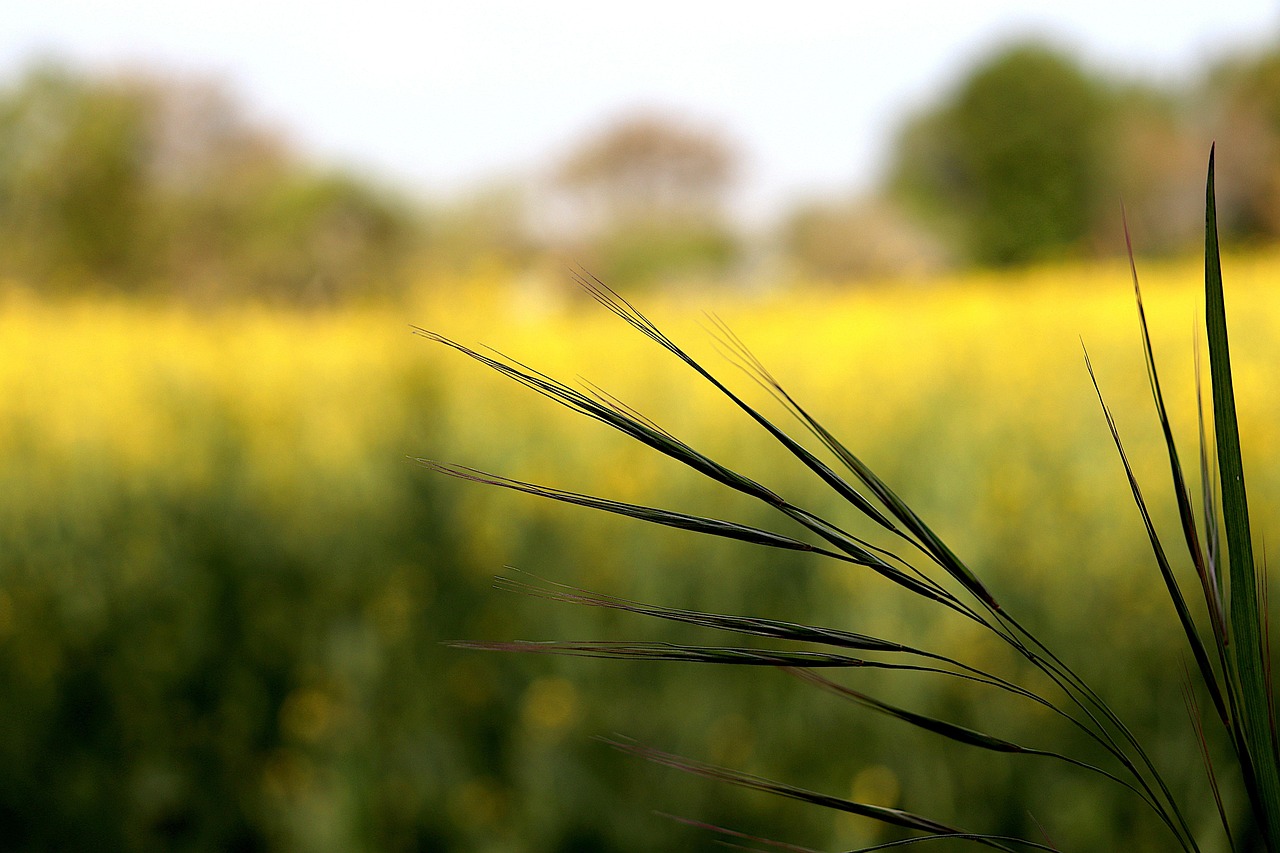 エグゼクティブコーチに参加するならおすすめの講座は？