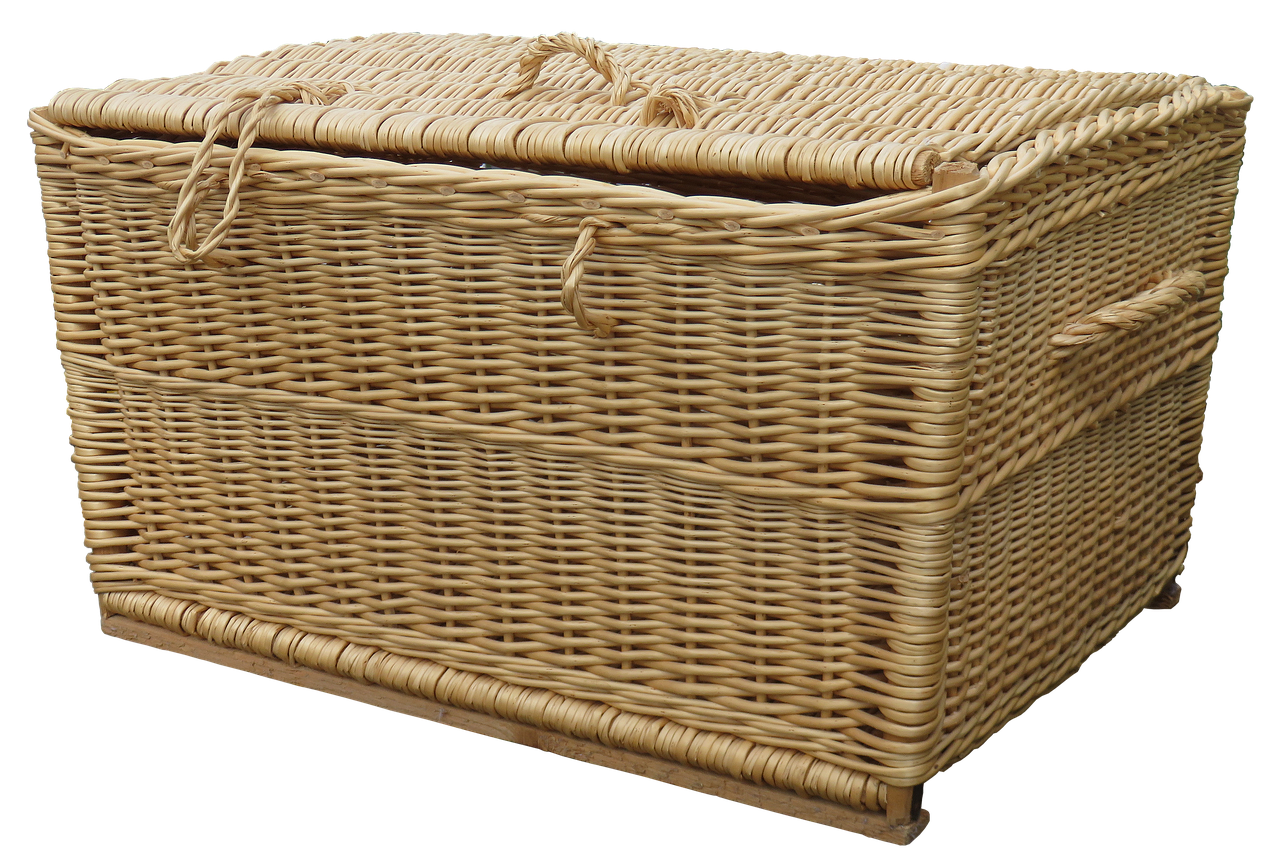 コーチングスクールの評判は本当に良いのか？