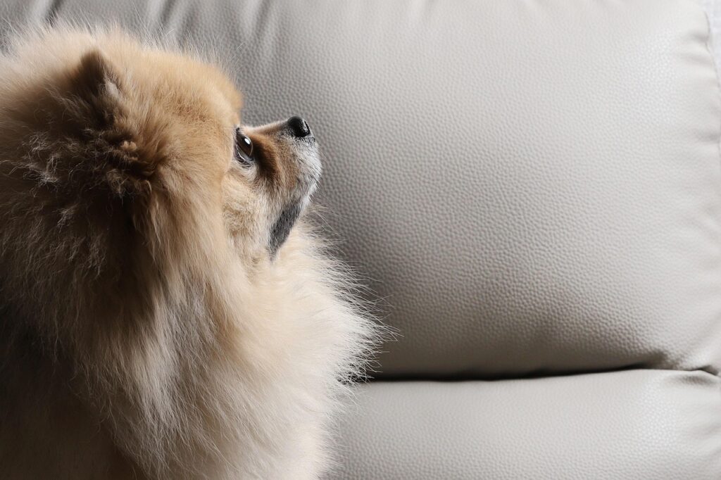 再受験の条件について知っておくべきことは？