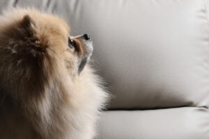 再受験の条件について知っておくべきことは？