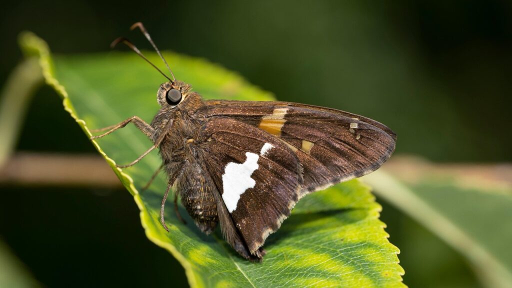修了後のサポートはどのような内容があるのか？
