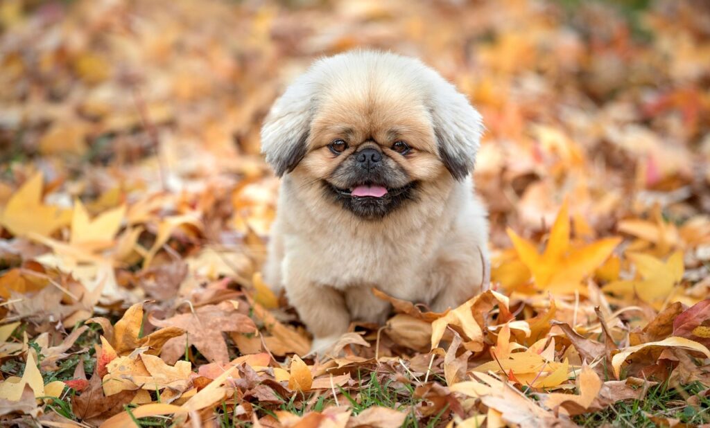 講座の悪い口コミは本当に信じるべきなのか？