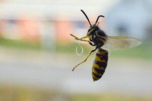 資格取得に関する体験談はどのようなものがある？