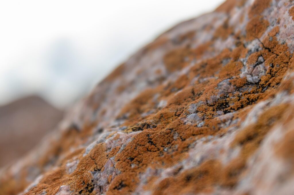 通学型講座の比較で自分に合った学び方を見つけるには？