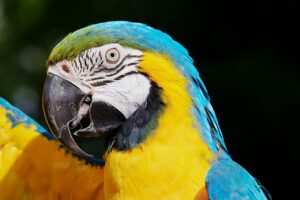 ビジネスコーチの講座を総合的にナビする方法は？